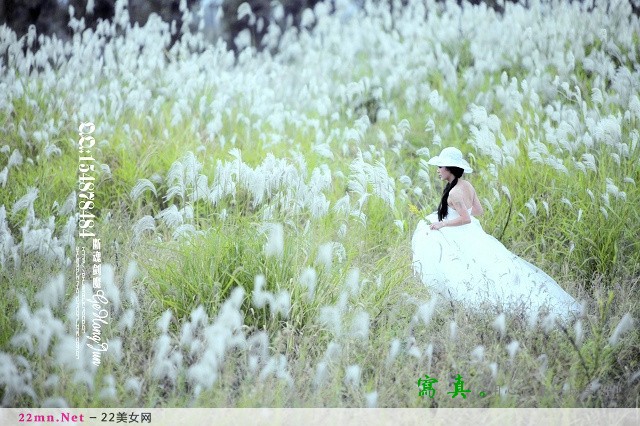 清纯新娘芦苇丛中的婚纱摄影12