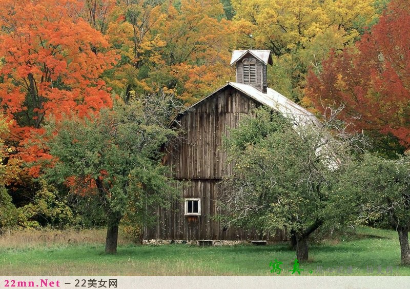 秋天多彩多姿的景色图片12