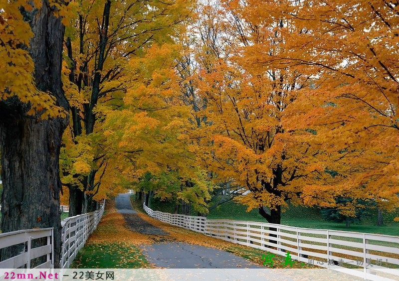 在路上在乎的是沿途的风景