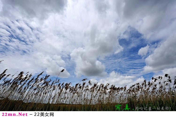 多伦多变幻的天空4